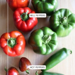 A top view of assorted bell peppers (red and green) and hot peppers (red and green jalapeños) on a light wooden surface, with labels identifying each type.