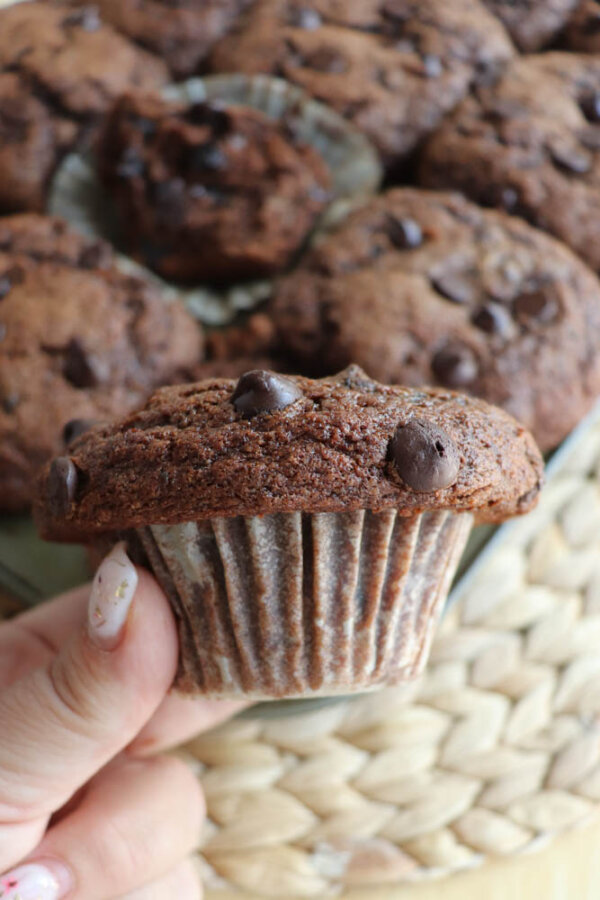 A hand holding a chocolate muffin with chocolate chips, with more chocolate muffins on a plate in the background.