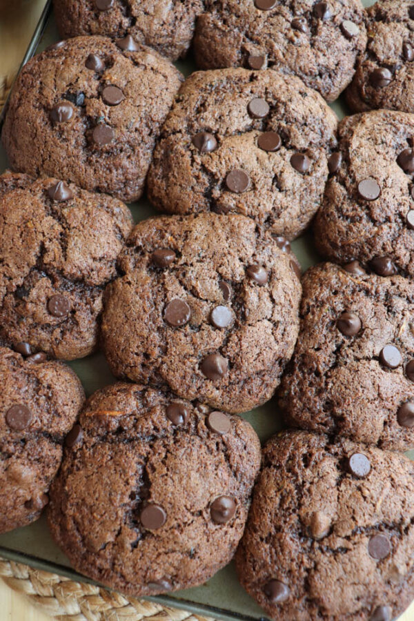 A close-up of several large, freshly baked chocolate cookies topped with chocolate chips, arranged closely together on a tray.