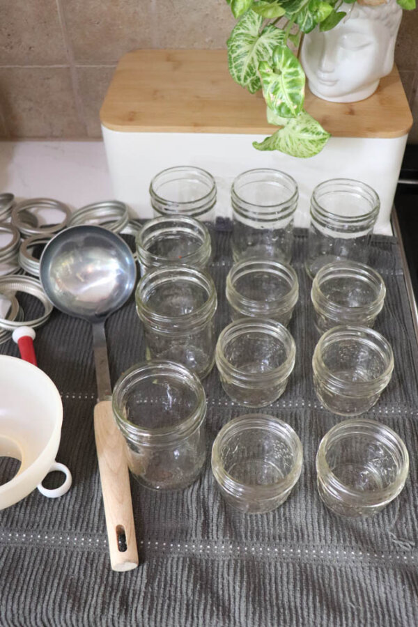 Clean glass jars of various sizes are arranged on a gray drying mat with canning tools nearby, including a ladle and a funnel. A plant in a white pot sits in the background on a countertop.