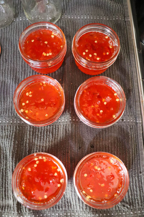 Six small glass jars filled with bright red chili jelly, showing visible chili flakes and seeds, are arranged on a gray textured cloth. The jars are uncapped and evenly spaced in two rows.