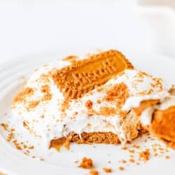 A slice of Biscoff Cookie Butter Delight with whipped topping and crumbled Biscoff cookies sits on a white plate. Text above reads biscoff cookie butter delight and homemadeheather.com is at the bottom.