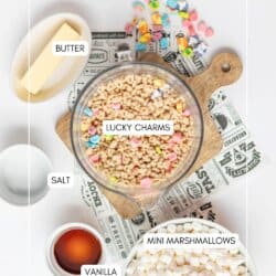 Top-down view of ingredients for a recipe, including a bowl of Lucky Charms cereal, a plate of butter, a dish of salt, a bowl of mini marshmallows, and a small bowl of vanilla extract on a white surface.