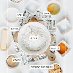 A flat lay of labeled baking ingredients: marshmallows, salt, egg, butter, flour, vanilla, sugar, graham crackers, and chocolate, all arranged around a bowl of flour on a white surface.