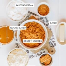 Top-down view of labeled ingredients for a Biscoff cookie butter delight: whipping cream, butter, Biscoff cookies, cookie butter, and powdered sugar in bowls, all neatly arranged on a white surface.
