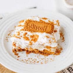 A slice of creamy biscoff cookie butter delight topped with whipped cream and crumbled Biscoff cookies sits on a white plate, garnished with a whole Biscoff cookie on top.