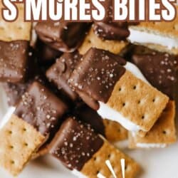 A plate of s’mores bites made with graham crackers, chocolate, and marshmallow, arranged in a pile. Text reads 3-ingredient S’mores Bites and TikTok Recipe with the website homemadetheather.com at the bottom.