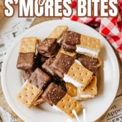 A plate of s’mores bites made with graham crackers, marshmallow filling, and chocolate coating, arranged on a white plate. The text reads “3-ingredient s’mores bites—TikTok recipe.”.