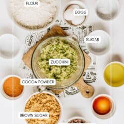 Top-down view of labeled baking ingredients in bowls on a white surface: flour, eggs, sugar, brown sugar, cocoa powder, zucchini, chocolate chips, and a liquid ingredient, possibly oil.