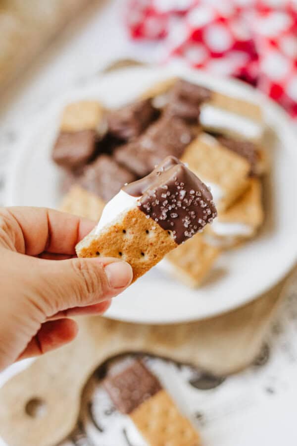 A hand holds a 3-ingredient S'mores Bites treat made of graham cracker, marshmallow, and chocolate with sprinkles, with a plate of similar bites blurred in the background.