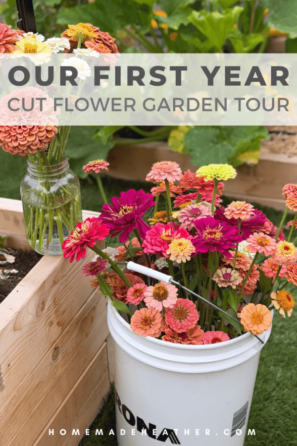 A white bucket filled with colorful zinnias sits by a raised garden bed. A glass jar with more zinnias is nearby. Text reads: Our First Year Cut Flower Garden Tour.