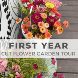 Three buckets of freshly cut colorful flowers are placed on a wooden deck beside a white wall with black patterns. Text overlay reads, โFirst Year Cut Flower Garden Tour.โ Website URL is at the bottom.