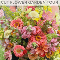 A person holds a large, vibrant bouquet of mixed cut flowers. Text on the image reads, First Year Cut Flower Garden Tour and homemadeheather.com. The background is slightly blurred grass and fence.
