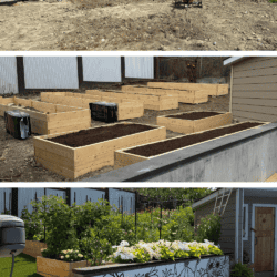 Three images show a backyard transformation: bare soil, newly built wooden garden beds, and a lush garden with raised beds, flowers, and a painted mural. Text reads โhomemadeheather.com.โ.