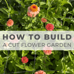 Several blooming zinnias grow behind a wire garden net. Overlaid text reads: โHow to Build a Cut Flower Garden.โ The website homemadheather.com is shown at the bottom.