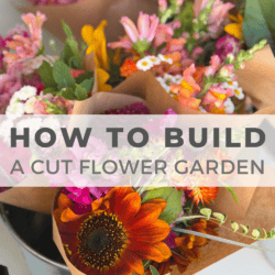 A variety of colorful cut flowers in brown paper wraps are displayed in a metal bucket. Text overlay reads, โHow to Build a Cut Flower Gardenโ with a website link at the bottom.