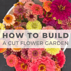 A white bucket filled with colorful cut flowers, mainly zinnias, sits on a dark surface. Text overlay reads โHow to Build a Cut Flower Gardenโ with a website address at the bottom.
