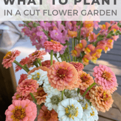 A bouquet of pink, white, and orange zinnias and snapdragons sits on a wooden table. Text reads: What to plant in a cut flower garden. homemadeheather.com.