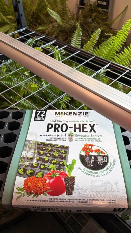 A McKenzie PRO-HEX seed starting kit box with images of seedlings, tomatoes, and marigolds sits on a metal shelf, with green ferns and a light fixture visible in the background.