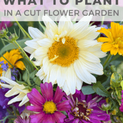 A colorful bouquet of cut flowers including white, yellow, purple, and pink blooms with text overlaid: What to Plant in a Cut Flower Garden.