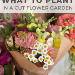 Bouquets of assorted cut flowers, including daisies, snapdragons, and zinnias, wrapped in brown paper. Text on image reads: What to Plant in a Cut Flower Garden.