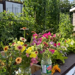 Two jars of colorful garden flowers sit on a ledge, next to red garden shears. Behind them, lush green plants grow in raised beds under a bright blue sky with scattered clouds.