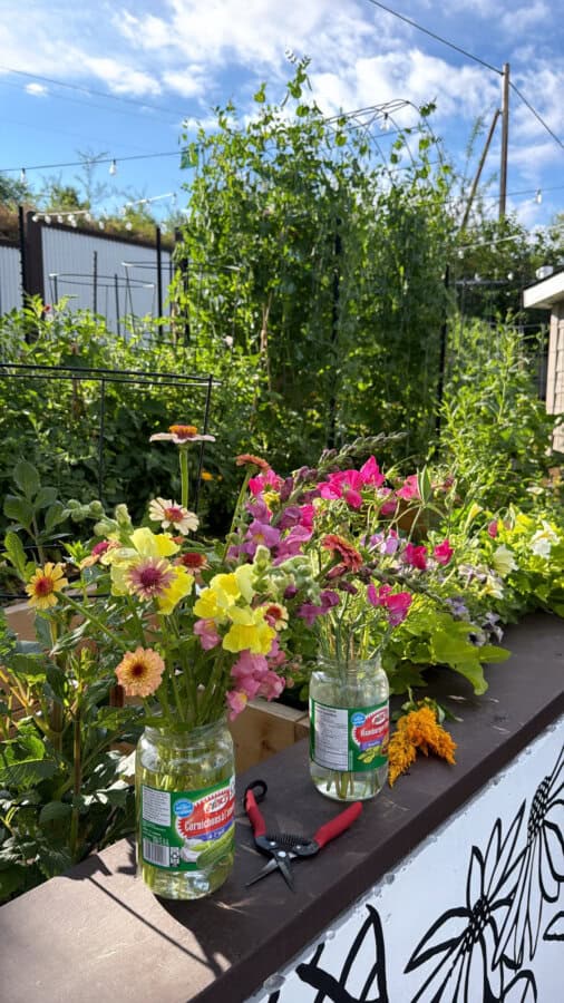Two jars of colorful garden flowers sit on a ledge, next to red garden shears. Behind them, lush green plants grow in raised beds under a bright blue sky with scattered clouds.