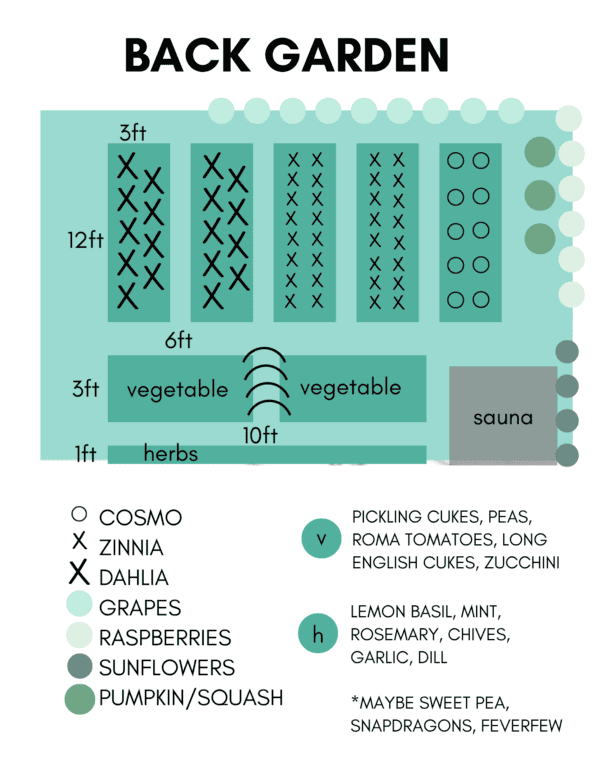 Diagram of a backyard garden layout, with labeled sections for flowers, vegetables, herbs, sunflowers, grapes, raspberries, pumpkins/squash, and a sauna. A legend indicates plant types and varieties.