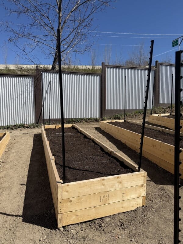 A raised wooden garden bed filled with soil stands in a sunny outdoor area, with bare trees and a corrugated metal fence in the background. Black vertical stakes are at the corners of the bed.