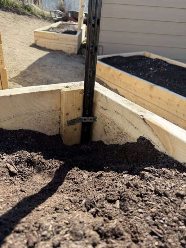 Close-up of a corner of a wooden raised garden bed filled with soil. A black metal support post is attached to the wood with a metal bracket. Other raised beds and dirt paths are visible in the background.