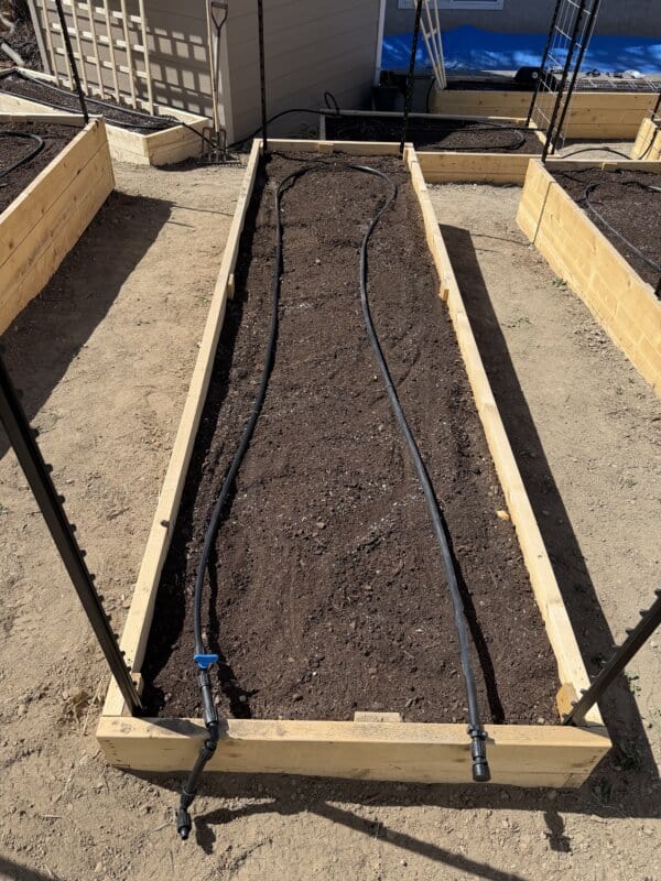 A raised garden bed filled with soil features a drip irrigation system laid out in a wavy pattern, surrounded by other similar garden beds and a shed in the background.