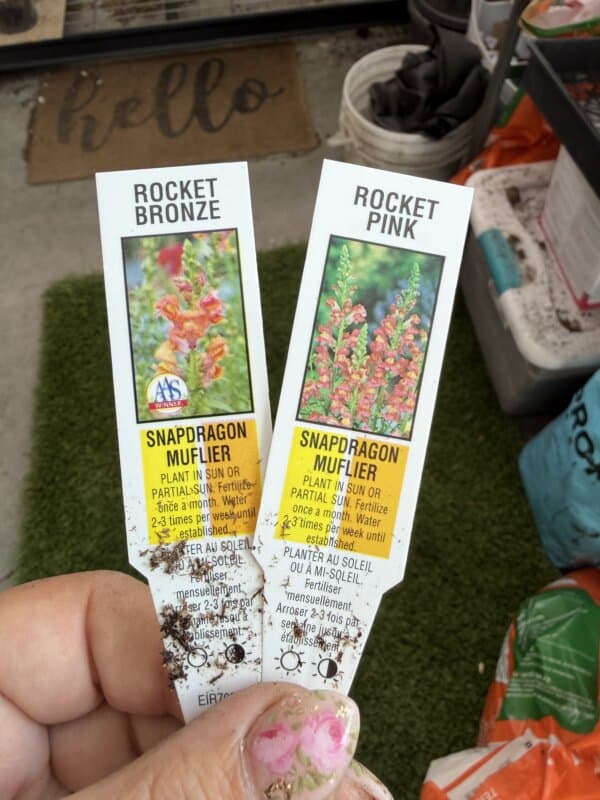 A hand holds two plant tags for snapdragons: Rocket Bronze on the left, showing red-orange flowers, and Rocket Pink on the right with pink blooms. Gardening supplies and a hello mat are visible in the background.