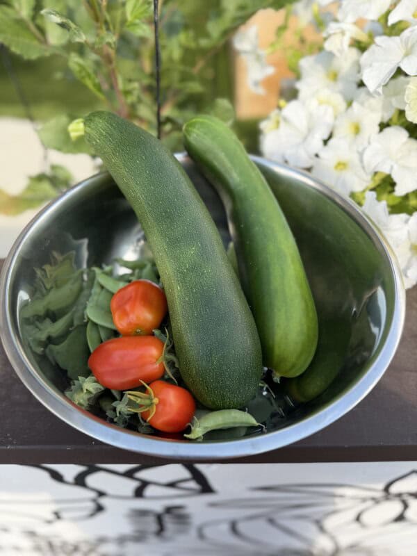 A metal bowl filled with two zucchinis, three tomatoes, and some green beans, set outdoors near white flowers and greenery.