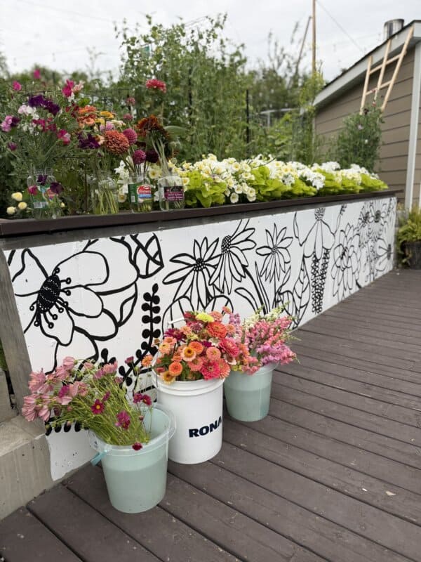 Buckets of colorful flowers sit on a wooden deck beside a raised garden bed with a black-and-white floral mural. More flowers and green plants grow in the bed, with a shed in the background.