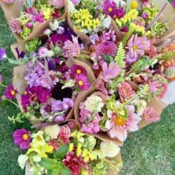Several vibrant flower bouquets wrapped in brown paper are arranged on green grass, featuring pink, purple, yellow, and white blooms with various types of flowers and green leaves.