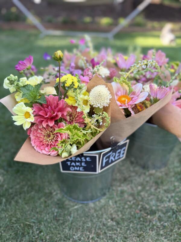 Bouquets of colorful flowers wrapped in brown paper sit in metal buckets on grass. A small chalkboard sign reads Free and Please Take One.